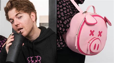 pig gucci shane an jeffre|Shane Dawson releases 'pig' merch collection with Jeffree Star.